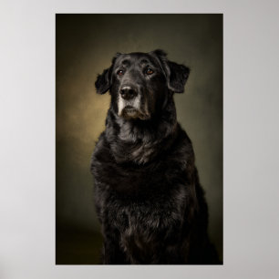 Poster Silhueta de Cachorro Elegante