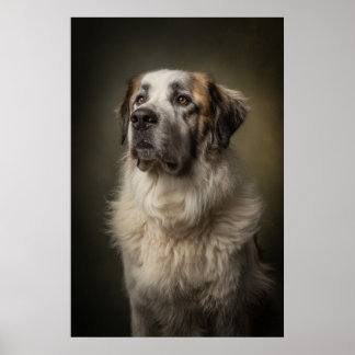 Poster Silhueta de Cachorro Elegante