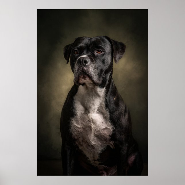 Poster Silhueta de Cachorro Elegante (Frente)