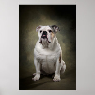Poster Silhueta de Cachorro Elegante