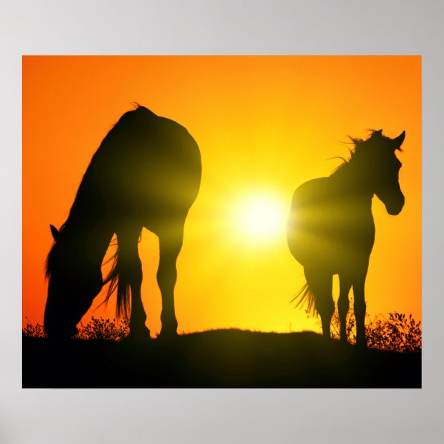 Poster Silhueta de Dois Cavalos ao Sol (Frente)