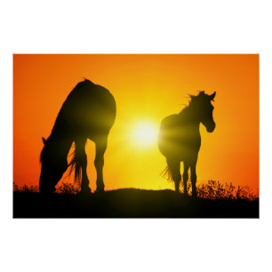 Póster Silhueta de dois cavalos no por do sol