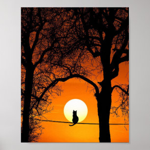 Poster Silhueta de Gato Preto ao Pôr do Sol