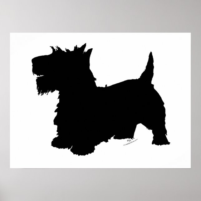 Póster Silhueta de Terrier Escocês (Frente)
