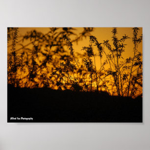 Poster Silhueta do Pôr do Sol Laranja Country
