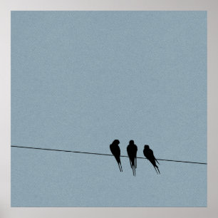 Póster Silhueta dos melros do céu no fio