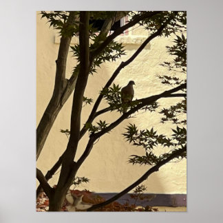 Poster Silhueta Lovedove