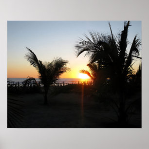 Poster Silhueta solar tropical