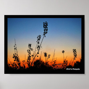 Poster Silhuetas de Plantas de Verão