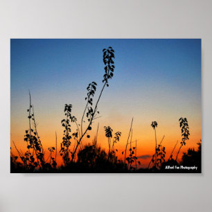 Poster Silhuetas de Plantas de Verão