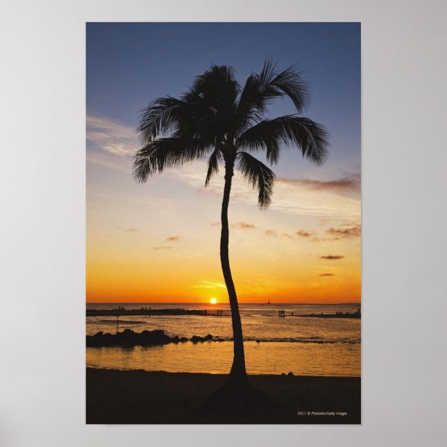 Poster Silhuette of one Palm Tree by a Red Orange Sunset (Frente)