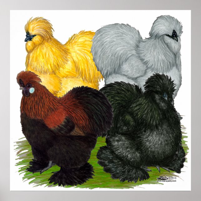 Poster Silkies: Rostos Assortados (Frente)