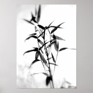 Poster Sillouette de bambu