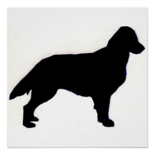 Póster silo de Retriever Revestido Plano