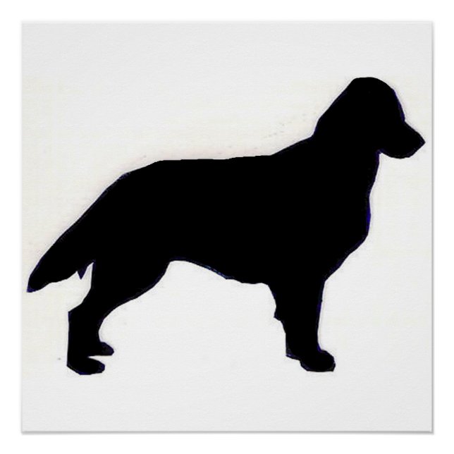 Póster silo de Retriever Revestido Plano (Frente)