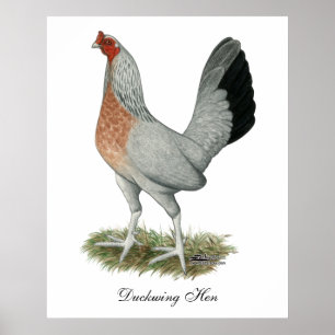 Poster Silver Ducking Game Hen