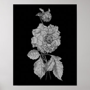Póster Silver Peony Sobre Arte Floral Negra
