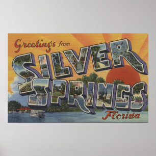 Póster Silver Springs, Florida - grandes cenas 2 da letra