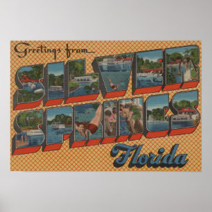 Poster Silver Springs, Florida - grandes cenas da letra