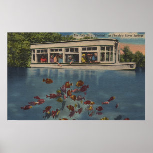 Póster Silver Springs, Florida - vista do Riverboat &