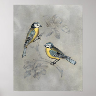 Poster Silvered Aviary Casal de aves