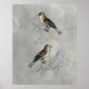 Poster Silvered Aviary   Duas Aves