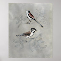 Silvered Aviary | Par A