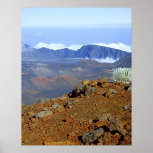 Póster Silversword on Haleakala Crater  Rim from near 2