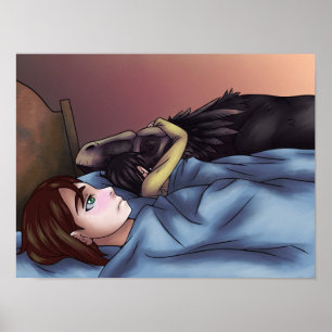 Poster Sim