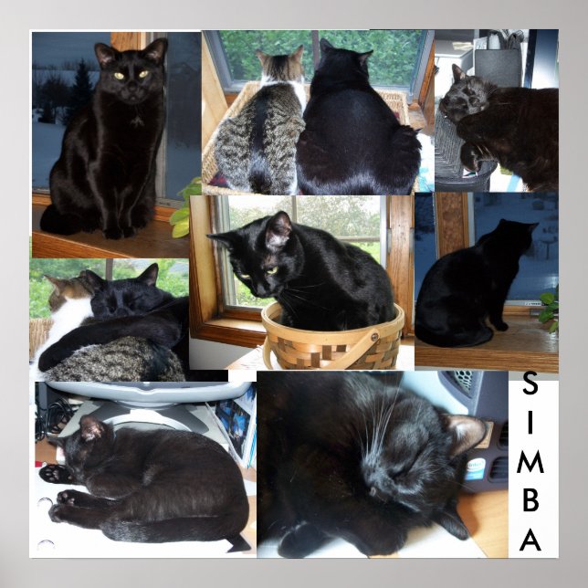 PÓSTER SIMBA (Frente)