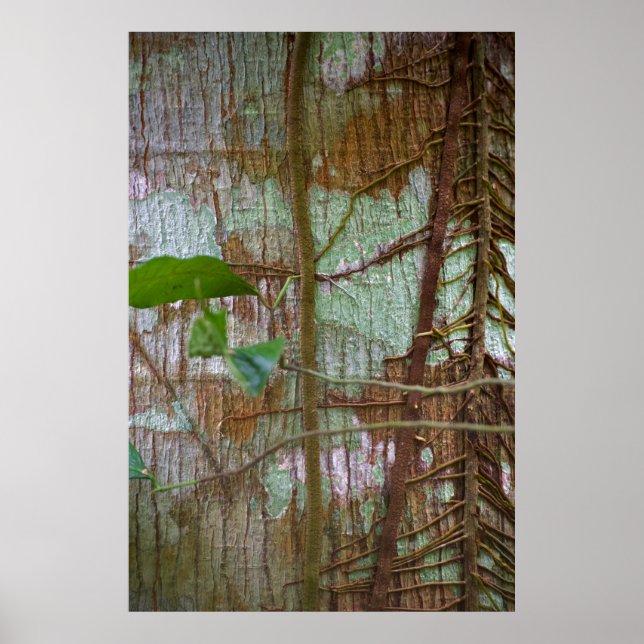 Poster Simbiose (Frente)