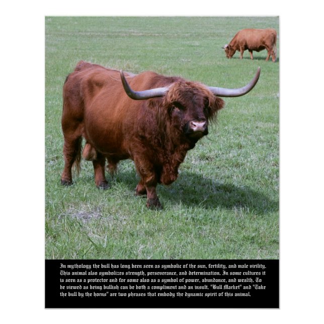 Póster Símbolo Bull (Frente)