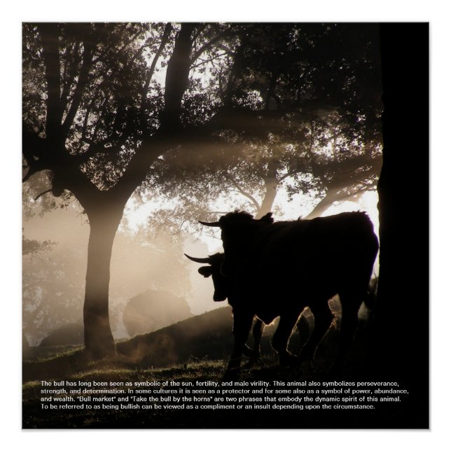 Póster Símbolo Bull (Frente)