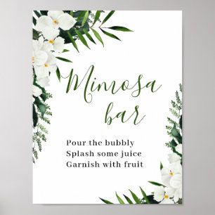 Poster Símbolo de Bar Bohemian Mimosa das Orquídeas Bra