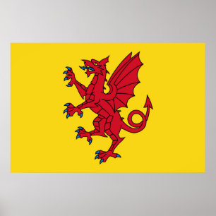 Poster Símbolo do dragão Somerset Flag England