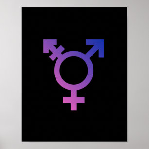 Póster Símbolo do Transgender