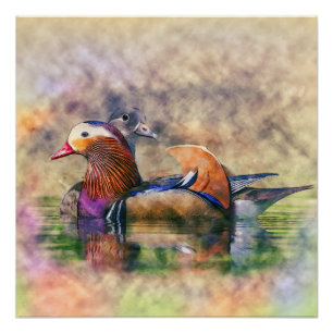 Póster Símbolo Watercolor Mandarin Ducks Feng Shui
