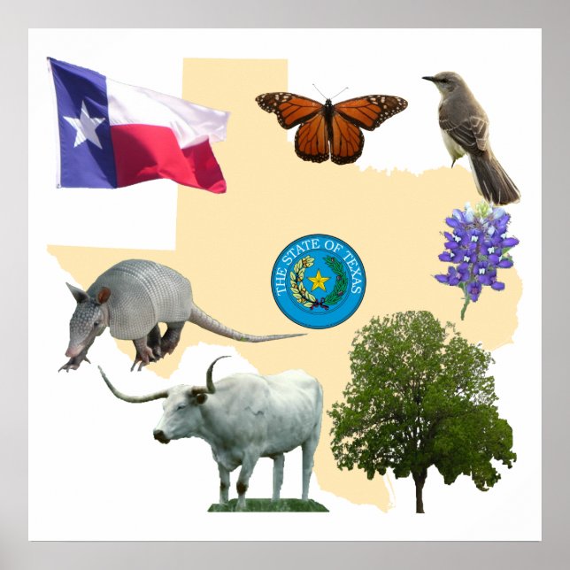 Poster Símbolos do Estado do Texas (Frente)