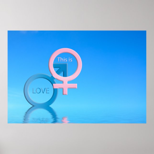 Póster Símbolos masculinos e femininos (Frente)