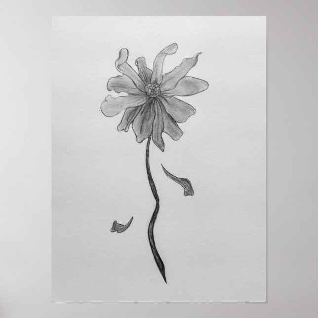 Poster Simple Daisy (Frente)