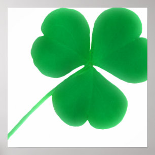Póster Simples Shamrock Verde Irlandês   Rua. Dia de Patr