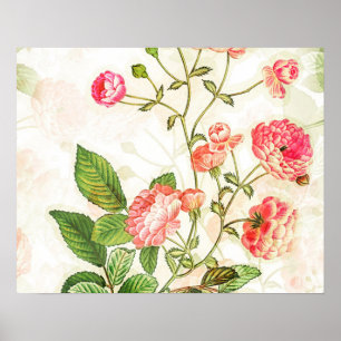 Poster Simples Vintage, Vitoriano, Design Floral Rosa Ros