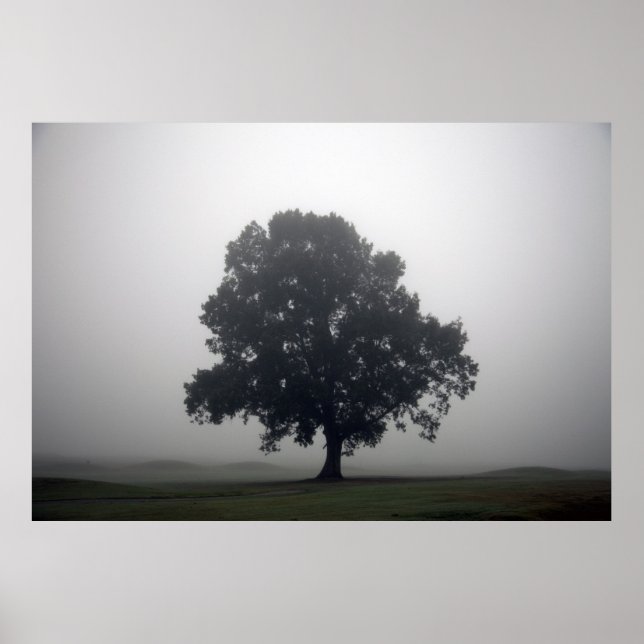 Póster Simplicidade (Frente)