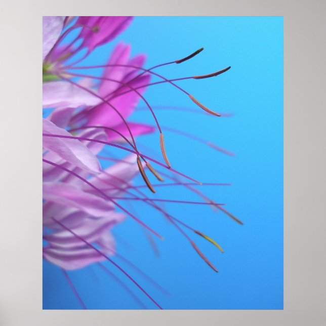 Poster Simplicidade de Pastel (Frente)