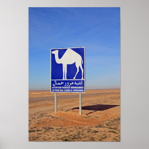 Poster Sinal de Camels, Tunísia