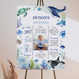 Poster Sinal de Milestone de Aniversário do Ocean Animal