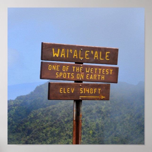 Poster Sinal de Monte Waialeale, Kauai, Havaí (Frente)