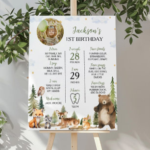 Poster Sinal de primeiro aniversario de Animais da Flores