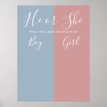 Sinal De Voto Do Gênero Azul E Rosa