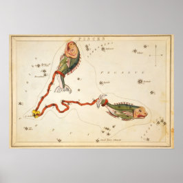 Poster Sinal Zodiac: Peixes/poster